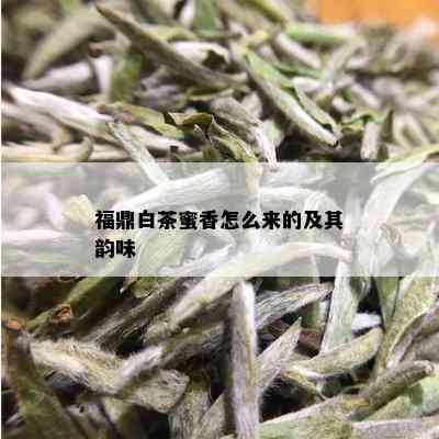 福鼎白茶蜜香怎么来的及其韵味