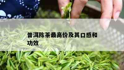 普洱陈茶更高价及其口感和功效