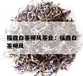 福鼎白茶柳风茶业：福鼎白茶柳风