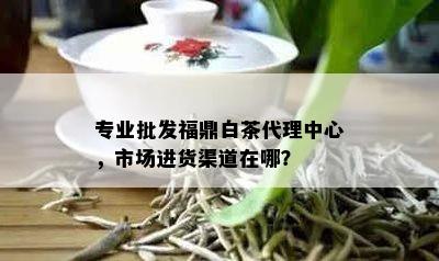 专业批发福鼎白茶代理中心，市场进货渠道在哪？