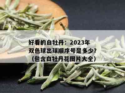 好看的白牡丹：2023年双色球出球顺序号是多少？（包含白牡丹花图片大全）