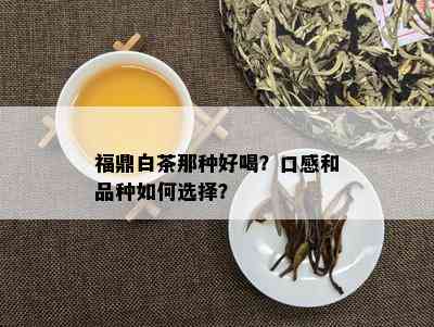 福鼎白茶那种好喝？口感和品种如何选择？