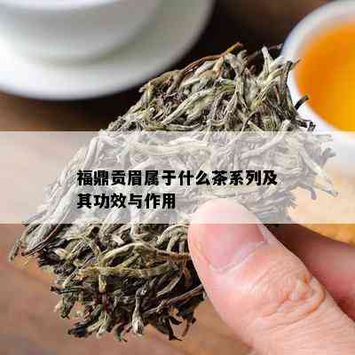 福鼎贡眉属于什么茶系列及其功效与作用