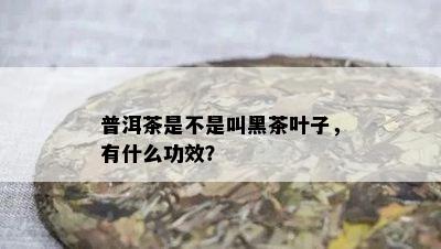 普洱茶是不是叫黑茶叶子，有什么功效？