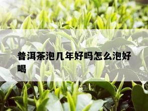 普洱茶泡几年好吗怎么泡好喝