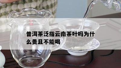 普洱茶泛指云南茶叶吗为什么贵且不能喝