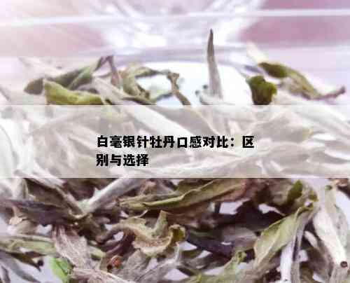 白毫银针牡丹口感对比：区别与选择