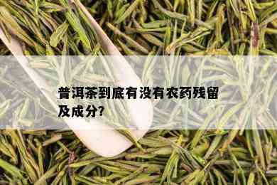 普洱茶到底有没有农残留及成分？