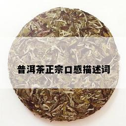 普洱茶正宗口感描述词