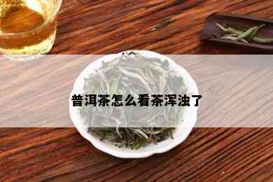 普洱茶怎么看茶浑浊了