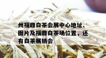 州福鼎白茶会展中心地址、图片及福鼎白茶场位置，还有白茶展销会