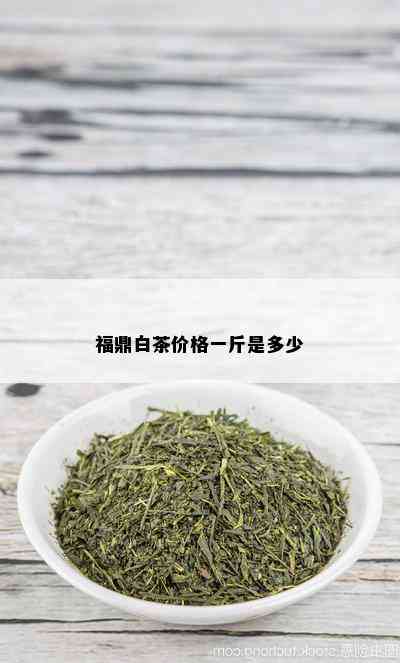 福鼎白茶价格一斤是多少