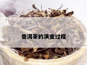 普洱茶的演变过程