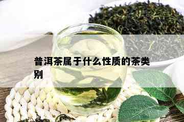 普洱茶属于什么性质的茶类别