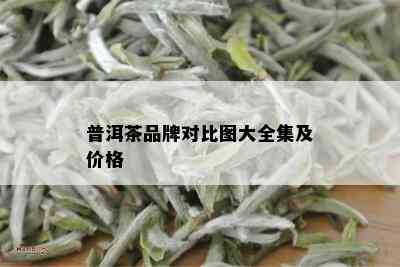 普洱茶品牌对比图大全集及价格