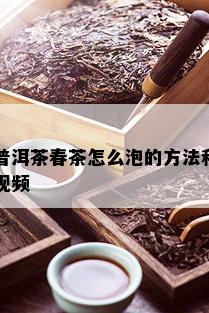 普洱茶春茶怎么泡的方法和视频