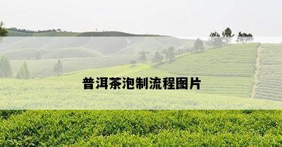 普洱茶泡制流程图片