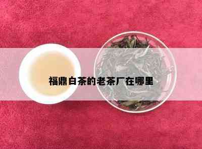 福鼎白茶的老茶厂在哪里