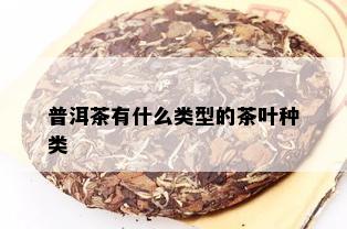 普洱茶有什么类型的茶叶种类