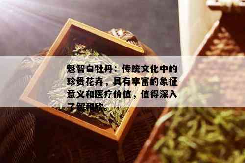 魁智白牡丹：传统文化中的珍贵花卉，具有丰富的象征意义和医疗价值，值得深入了解和欣。