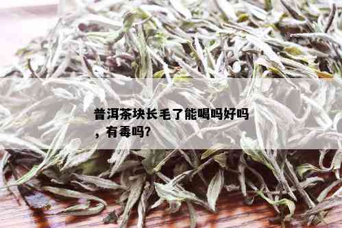 普洱茶块长毛了能喝吗好吗，有吗？