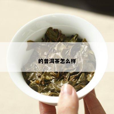 的普洱茶怎么样