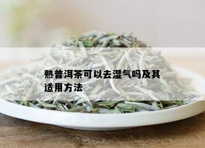 熟普洱茶可以去湿气吗及其适用方法