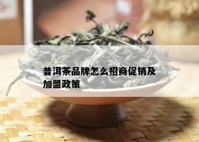 普洱茶品牌怎么招商促销及加盟政策