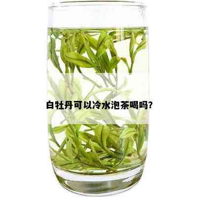 白牡丹可以冷水泡茶喝吗？