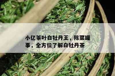 小亿茶叶白牡丹王，陈菜罐事，全方位了解白牡丹茶