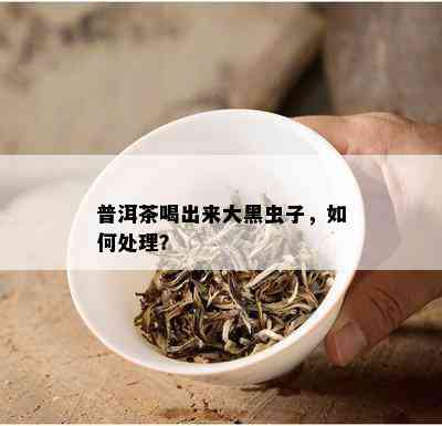 普洱茶喝出来大黑虫子，如何处理？