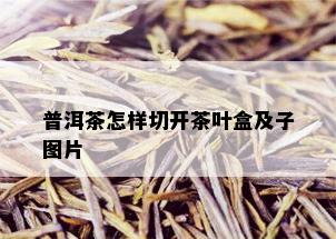 普洱茶怎样切开茶叶盒及子图片