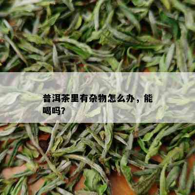 普洱茶里有杂物怎么办，能喝吗？