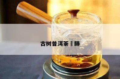 古树普洱茶牤肺