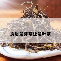 贡眉是芽茶还是叶茶