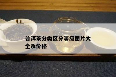 普洱茶分类区分等级图片大全及价格