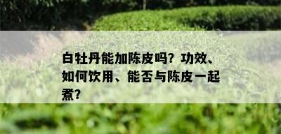 白牡丹能加陈皮吗？功效、如何饮用、能否与陈皮一起煮？