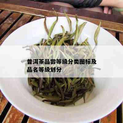 普洱茶品尝等级分类图标及品名等级划分