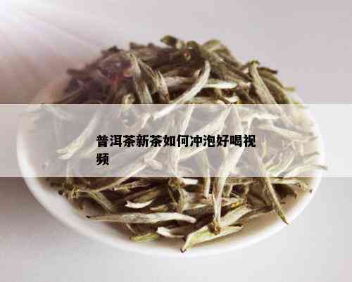 普洱茶新茶如何冲泡好喝视频