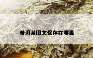 普洱茶图文保存在哪里