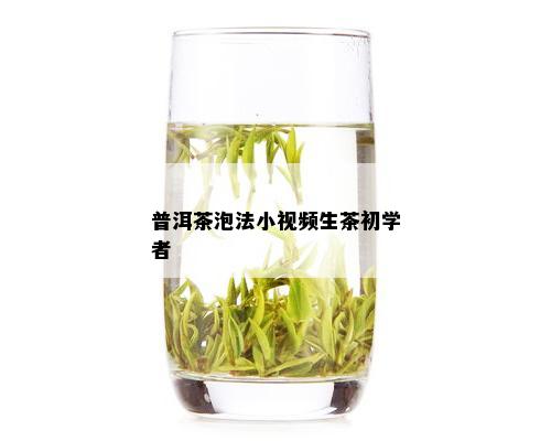 普洱茶泡法小视频生茶初学者