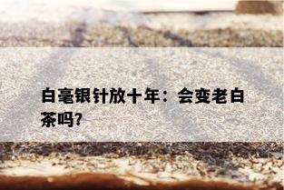 白毫银针放十年：会变老白茶吗？