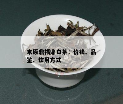 来原鼎福鼎白茶：价钱、品鉴、饮用方式