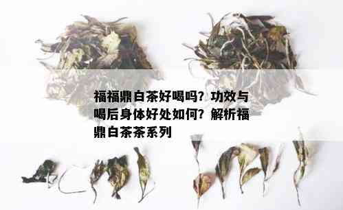 福福鼎白茶好喝吗？功效与喝后身体好处如何？解析福鼎白茶茶系列