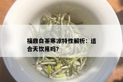 福鼎白茶寒凉特性解析：适合天饮用吗？