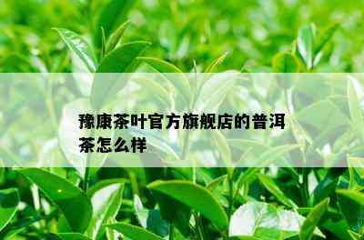 豫康茶叶官方旗舰店的普洱茶怎么样