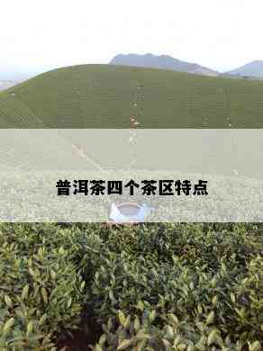 普洱茶四个茶区特点