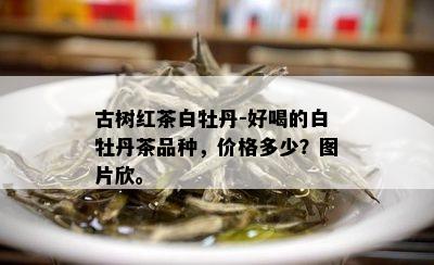 古树红茶白牡丹-好喝的白牡丹茶品种，价格多少？图片欣。