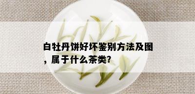 白牡丹饼好坏鉴别方法及图，属于什么茶类？