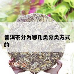 普洱茶分为哪几类分类方式的